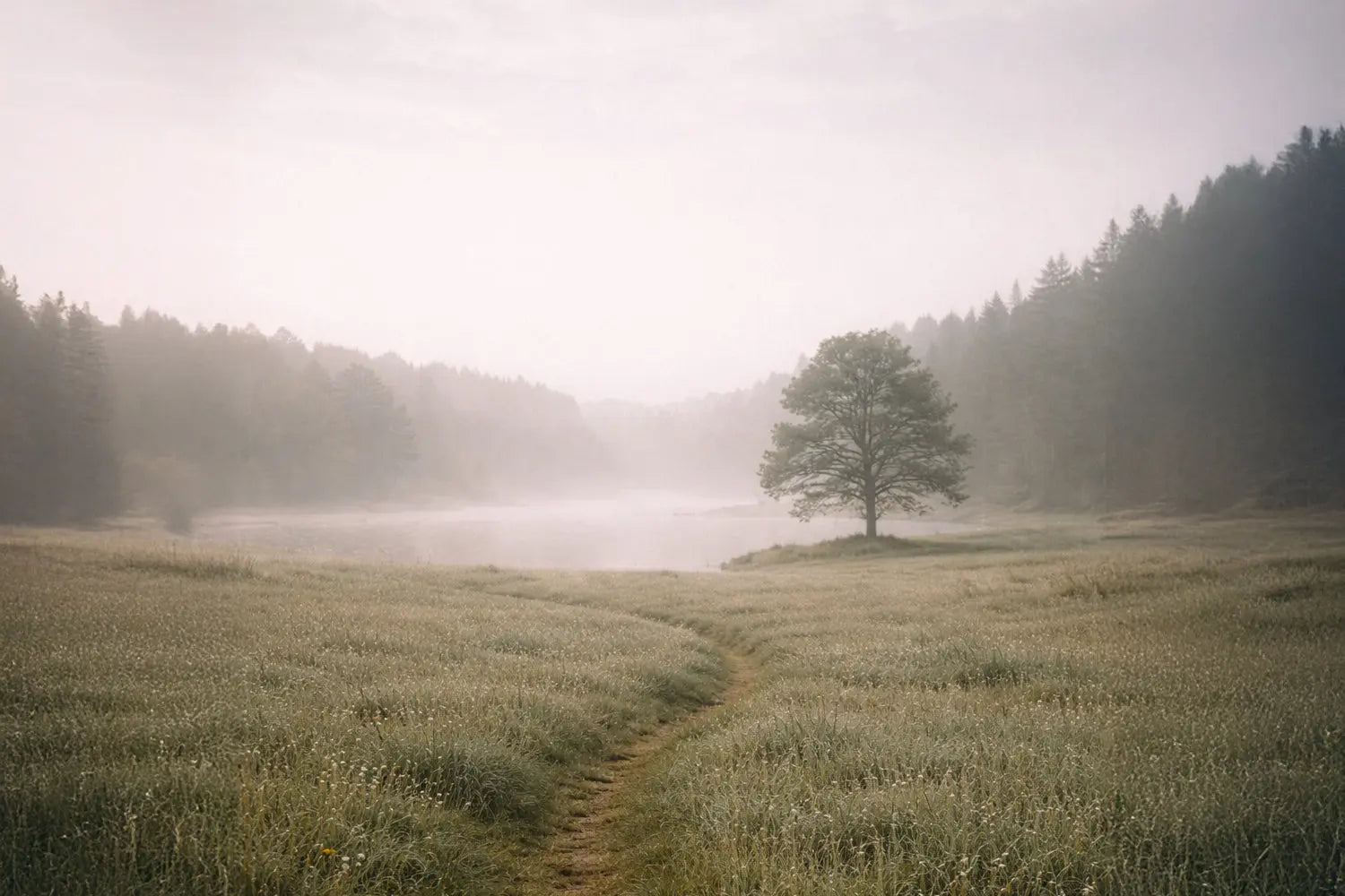 Love That Came First - Romans 5:8 HolStrength