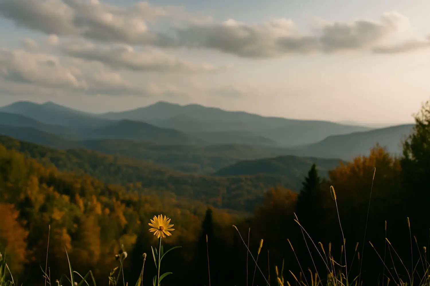 The-Strength-of-Gratitude-Recognizing-God-as-the-Source HolStrength