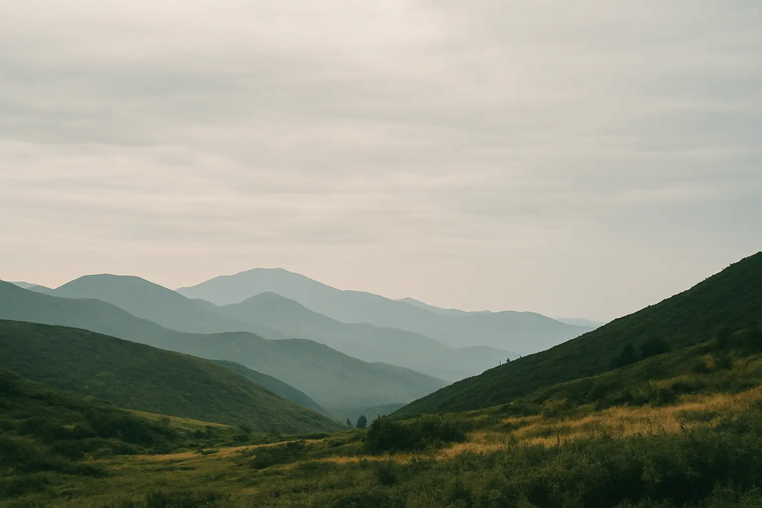 What-Does-It-Actually-Mean-to-Commit-Your-Work-Proverbs-16-3 HolStrength