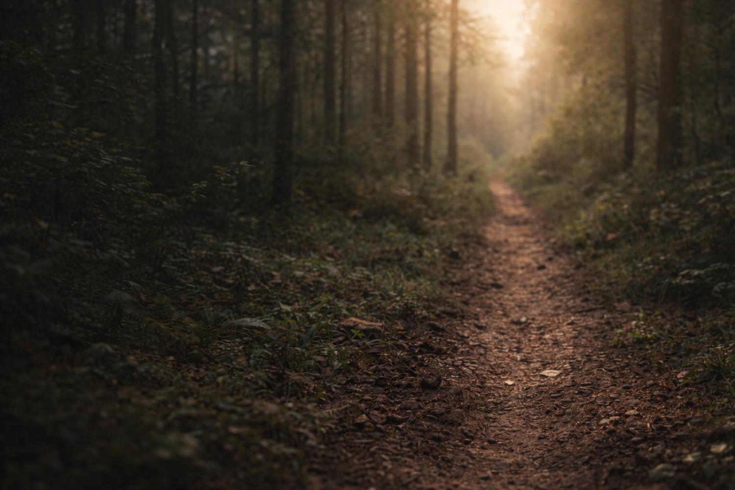 What You Practice Multiplies - Luke 16:10 HolStrength