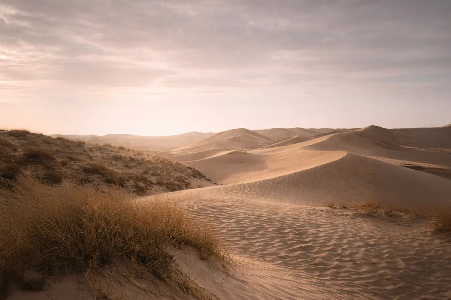 Established Work - Psalm 90:17 HolStrength