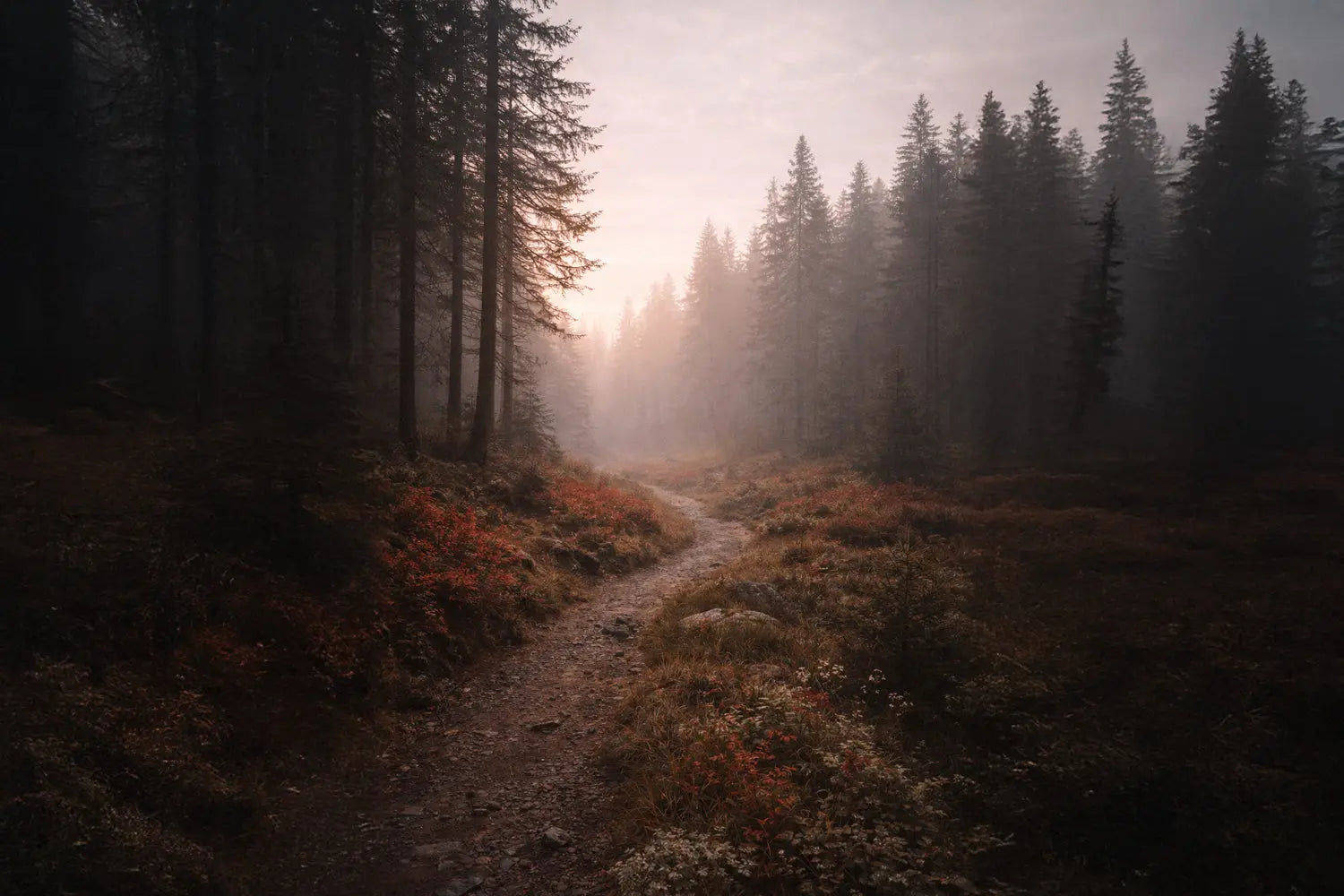 Quiet Strength - Isaiah 30:15 HolStrength